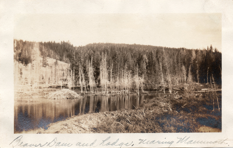 1924q7_Beaver_Dam_and_Lodge_nearing_Mammoth_28Jun1924