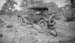 1912kb_henry_neal_car_in_rocks_lic3445_c1912x_626
