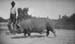 1912l7_henry_neal_beautiful_sow_c1923
