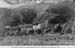 1912t4_albert_wallace_castle_la_canada_c1911