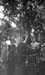 1913g2_don_pony_grandma_poapst_helen_edith_2_women_1913