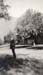 1918a3_will_in_coachella_valley_calif_c1918751