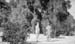 1918a5_2_unknown_men_huge_pepper_c1918