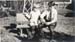 1919p3_stan_lind_bench_1919