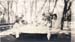 1920b1_picnic_helen_cecilia_edith_lind_stan_1920