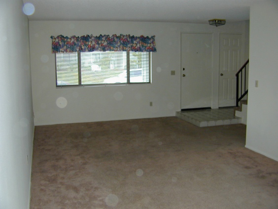 Inside View of Living Room and Front Door