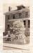1924q8_Deer_horns_Museum_Mammoth_29Jun1924