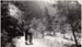 1935g3_aug_sep_1935_road_trip003