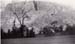 1935g5_aug_sep_1935_road_trip005