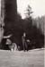1936i1_summer_1936_road_trip