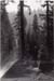 1936l2_summer_1936_road_trip_009