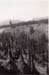 1936m4_summer_1936_road_trip_014