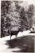 1936n2_summer_1936_road_trip_022