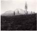 1936o2_summer_1936_road_trip_024