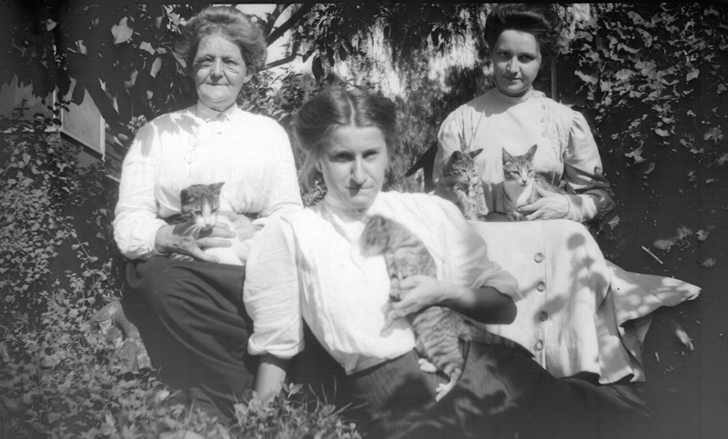1909e_grandma_poapst_myrle_edith_kittens_1909