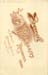 1872e_curtis_poapst_c1872_reprint_c1892_back