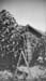 1909g_helen_poapsts_friend_ladder_c1909