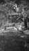 1921g3_stan_lind_will_lorna_1921