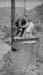 1923a_will_and_poss_florence_on_stump_poss_OR_c1923