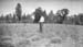 1923f3_henry_neal_in_field_c1923