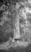 1923h6_lind_stan_will_lorna_mountains_1923