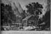 1923q2_yosemite_pioneer_cabin