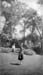 1924o3_Brigham_Youngs_Grave_S_L_C_24Jun1924x