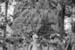 1926d3_calif_state_line_lind_stan_c1926_closeup