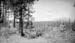 1926v3_stan_prob_mt_shasta_1926
