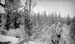 1926v4_stan_overlook_1926