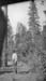 1928e1_henry_neal_forest_road_c1928