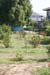 1931a2_1431_linden_from_rear_13oct2010