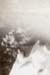 anthony_jensen_c1929_leg
