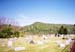long_reach_cemetery