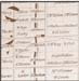 pilkington_twp_1877_patmore